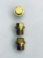 Заглушка (YLP15-VALVE-PLUG-AL) для мойки высокого давленияSturm!, PW92130I-2-20 (ZAP1977191889)