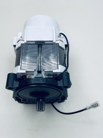 Электродвигатель (MOTOR) для минимойки Sturm!, PW9220E-2-1 (ZAP7010397)