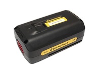 Аккумулятор для садового опрыскивателя Champion SA12/SA16 (12V/8Ah) (SA16-08)